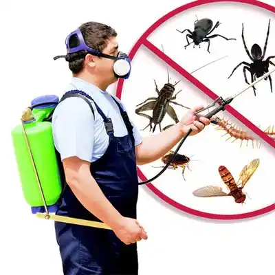 pest control Haledon